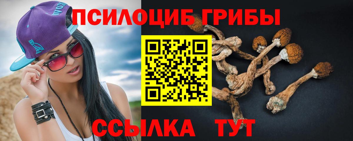 Галлюциногенные грибы GOLDEN TEACHER Сергиев Посад