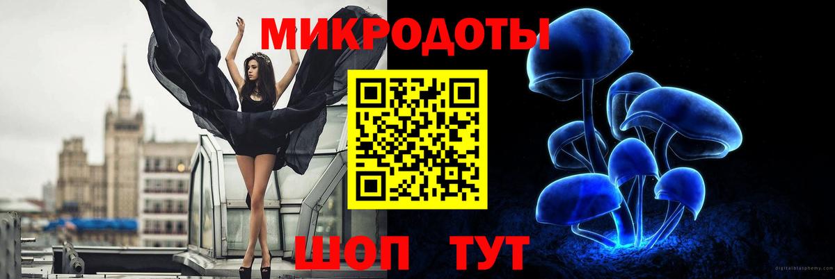 Псилоцибиновые грибы Magic Shrooms  Вход с VPN  Сергиев Посад  Псилоцибиновые грибы Psilocybe 